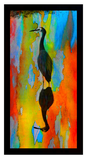 Print-Reflection- Bill Fitz-Adv-Open-04 26_424x768